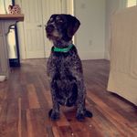 Molly - @mollyrollinson - Instagram