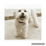 molly.roman - @molly.roman8002 - Instagram