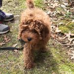 Molly Dooker Rosenberg - @mollydookerrosenberg - Instagram