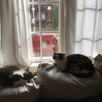 Mollie Rushing - @mollierushing - Instagram