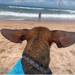 Molly Rushing - @beasweet_02 - Instagram