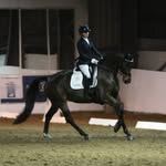Molly Ryan - @mollyryan_dressage - Instagram