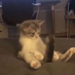 @molly_salisbury2.0 - Instagram