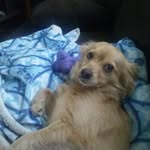 Molly Sandy Conklin - @molly_moo075 - Instagram