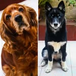 Sandy / Molly - @sandymolly15 - Instagram