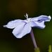 Molly Sauer - Facebook