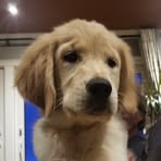 Molly Savard - Facebook