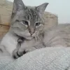 molly savard  - @mollysavard - TikTok