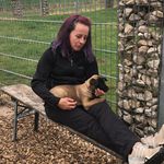 Molly Schmidt - @dani_hundherumzufrieden - Instagram