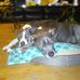 Molly Schulte - Facebook