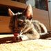 Molly Schulte - Facebook
