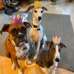 Molly Reid Schulz - @molly.schulz.3 - Instagram