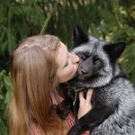 Molly Schulz - @living_with_foxes - Instagram