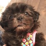 Molly Shepard - @mollyshepard7093 - Instagram