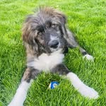 Molly Shepard - @floofadaloof - Instagram