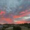 Scv.molly - @molly.shepard_22 - TikTok