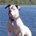 Molly Shew - Facebook