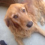 Molly Ace Shoemaker - @clayt446 - Instagram