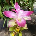 Molly Sim - Facebook