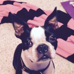 Molly Mae Sisk - @molly_mae_10 - Instagram