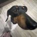 Molly Spence - Facebook
