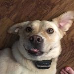 Molly - @molly_staples12 - Instagram