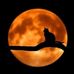 Molly Stocker - Facebook