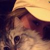 Mollystotts - @mollystotts - TikTok