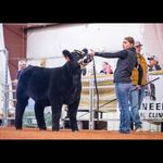 Molly Stricker - @molly_sue06 - Instagram