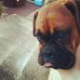 Everybody loves Molly - Stringer - Facebook