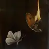 ️olly - @mollystringer - TikTok