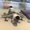 Molly-Stuart - @user7950218403392 - TikTok
