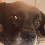 Molly stump - @molskatherussianprincess - Instagram