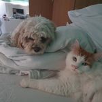 Molly Swan - @_molly.swan_ - Instagram