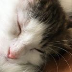 Molly Talbert - @talbertmolly - Instagram