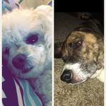 Molly._.Tanner - @molly._.tanner - Instagram
