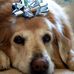 Molly Templin - Facebook