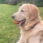 Molly Thorne - @mollybear.23 - Instagram