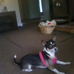 Molly Treadwell - Facebook