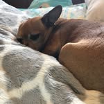 Molly Vance - @dat_is_my_molly - Instagram
