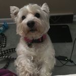 Molly Vance - @mollyvancefancypants1 - Instagram