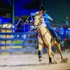 🍺🐴🐗Molly🐗🐴🍺 - @molly.walters22 - TikTok