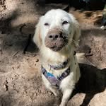 Molly Walters - @mollypwalters - Instagram