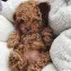 molly weeks - @molly.weeks1 - TikTok