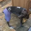 Molly Wiedemann - @mollywiedemann - TikTok