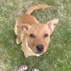 molly.weiman5 - @molly.weiman - TikTok