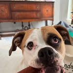Mollie Weiler Erpenbeck - @mollieerpenbeck - Instagram