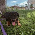 Molly - @mollyyweiler - Instagram
