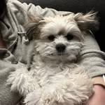 Molly Weiler - @m_jweiler_ - Instagram
