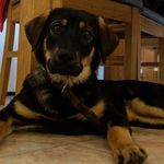 mollytheshepweiler - @mollyshepweiler - Instagram